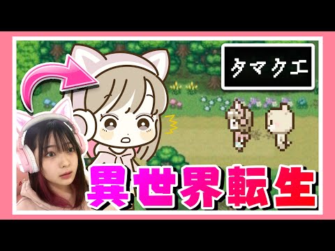 【オリジナルアニメ】引きこもり実況者の異世界転生ストーリー【タマクエ】【女性ゲーム実況者】【TAMAchan】