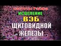 КВАНТОВОЕ ЛЕЧЕНИЕ ЩИТОВИДНОЙ ЖЕЛЕЗЫ_ИЗБАВЛЕНИЕ ОТ ВЭБ_ЛЕЧЕНИЕ ЗВУКОМ (Д_р Райф, Шмидт)