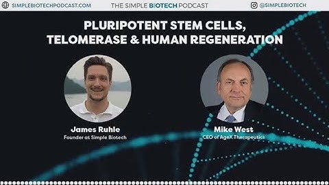 Mike West on Telomerase, Regeneration, and Age Reversal