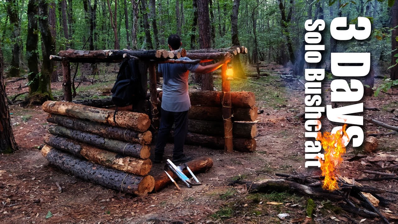 3 Day Solo Bushcraft Building Shelter & Camping in woods No Tent