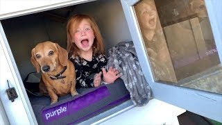 Hidden Surprise in our Backyard Dog House Mansion!!  Family fun with Adley and Niko!
