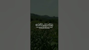 فإذا برق البصر /سورة القيامة |الشيخ ياسر الدوسري