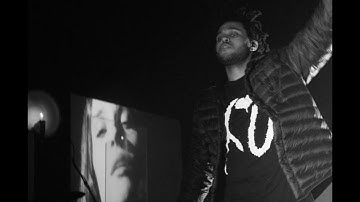 The Weeknd - The Birds (Interlude) (prod. Illangelo)
