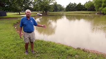 Combating Algae in Stock Ponds