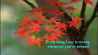 Paul Anka - Think I'm In Love Again.w/ lyrics