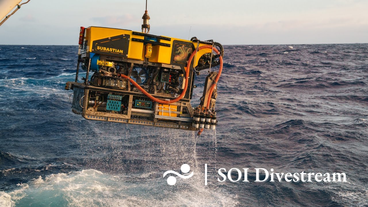 Stn. 4: Middle section of the Río de la Plata Submarine Canyon | SOI Divestream 831 Part II