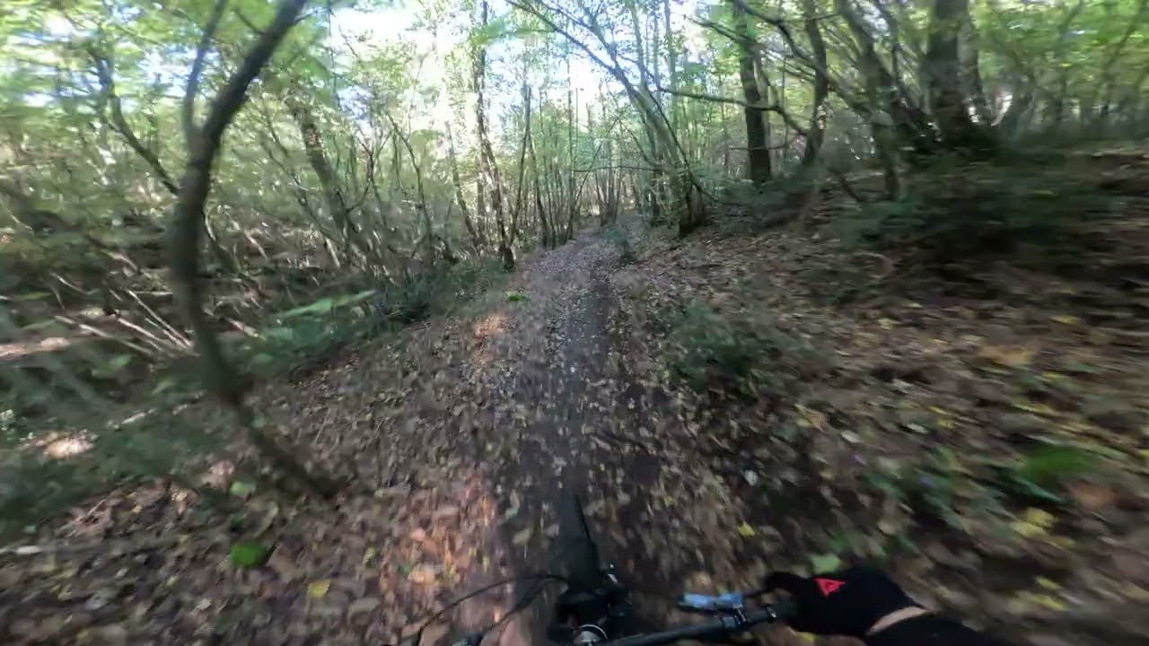 Tibur Trail Center - Gangster Line