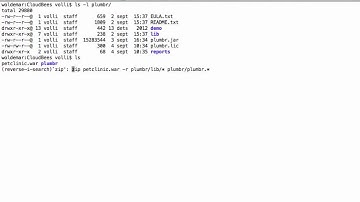 Installing Plumbr on CloudBees