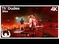 Synthony  th dudes bliss  a new zealand classic live at the auckland domain 2024 proshot 4k