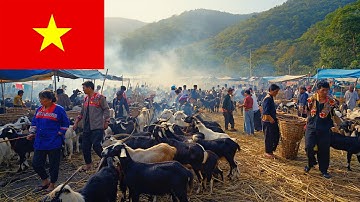 COC LY 4K TRADITIONAL MARKET  LAO CAI  VIETNAM  DISCOVERING MOUNTAIN CUISINE FASCINATING EXPERIENCES