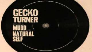 Gecko Turner- When I Woke Up (Natural Self Remix).wmv