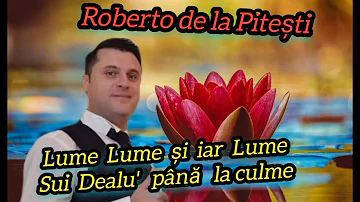 Lume Lume și iar Lume ❌ Roberto de la Pitești [cover]