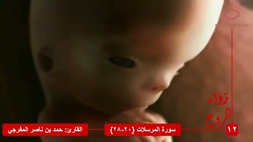 |١٢| رواء الروح| القارئ: حمد بن ناصر المفرجي| سورة المرسلات: ٢٠-٢٨