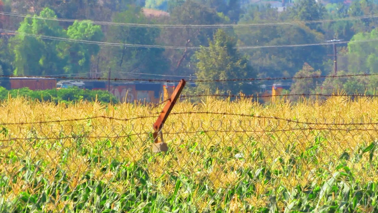 7/28/18 Union Pacific MWCCI using the Temple Ave Diversion(1)