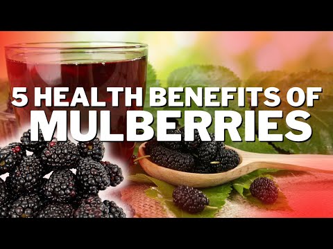 Hoe verbetert Mulberry uw gezondheid?