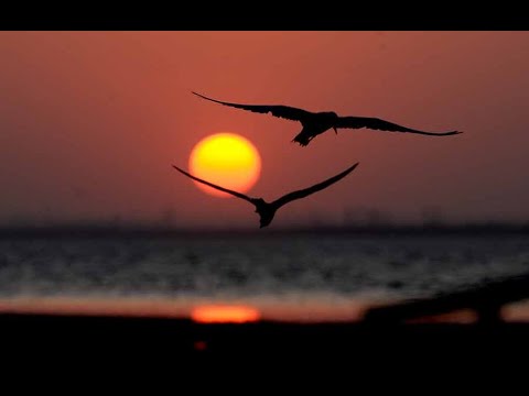 أرح اعصابك واسترخي مع أجمل المناظر الطبيعة الخلابة على قناة أستاذ بلس