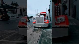 Red Bull #ryabichev #peterbilt #kenworth #youtubeshorts #389 #viral #viralvideo #shots #дальнобой