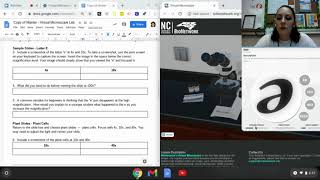 Virtual Microscope Lab - Directions