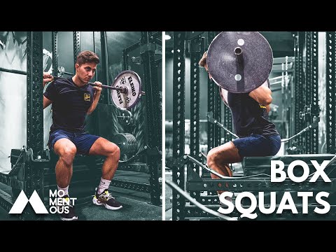 Video: back squat to box against chains