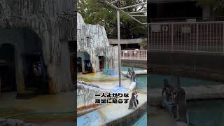 【他者の眼と 期限があって 夢叶う】#目標設定 #期限の力 #本気の証明  #kingdee