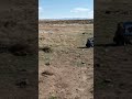 Ambient Sound of Traditional Archery