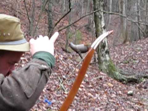 Dewayne martin shooting his recurve at Foggy Mt.