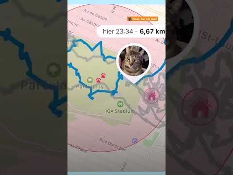 Video: Izgubljeni Pet Tech: Primerjava Cat in Dog sledenje Ovratnice