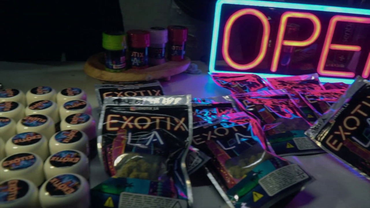 Weed Preroll Party 2019 Smoking with Tree McGee