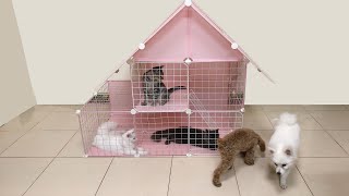 DIY House For Pomeranian Poodle Puppies & Kittens | How To Make House For Dogs Cats | MR PET #21