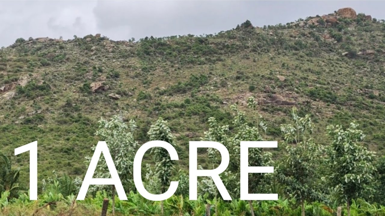 Af) 1 ACRE HILL VIEW DO BUY FARM LAND'S FOR SELF AND FAMILY