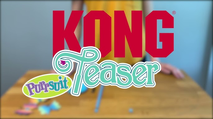 KONG Rewards Tinker Treat Dispenser Dog Toy