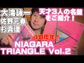 天才的名盤「NIAGARA TRIANGLE Vol.2」大滝詠一×佐野元春×杉真理 3人の才能が集結した名盤を解説!