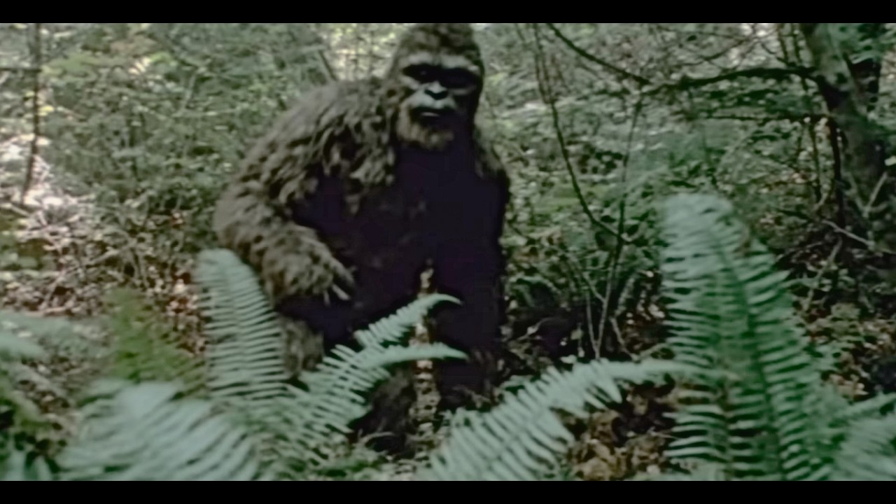 Disturbing New Viral BIGFOOT Footage Caught on Camera — What You’re Seeing Is Real!