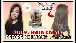 DIY HAIR COLOR | MERRYSUN PERMANENT COLOR ASH BLONDE NO NEED TO BLEACH!
