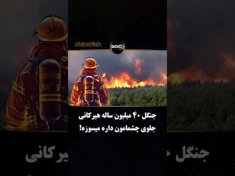 جنگل هیرکانی جلوی چشمون داره نابود میشه و هیچکس کاری نمیکنه