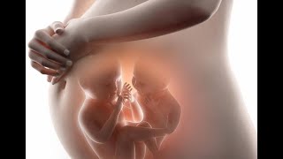 Pregnancy Music For Mother&Unborn Baby||Relaxing Music For baby&Pregnant Women screenshot 4