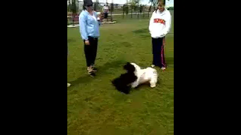 Ninja"s First Dance