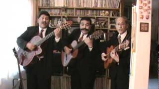 Video thumbnail of "Trio Los Grillos   Mil nombres"
