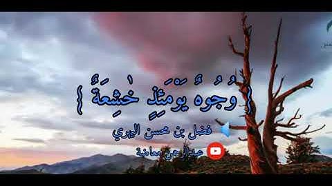 سورة الغاشية / فضل بن محسن اليهري