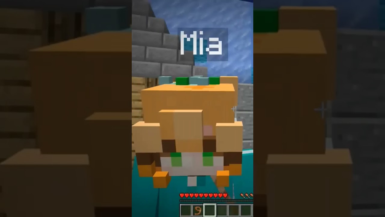 El awita y mia tan atados casi se besan