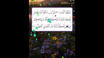 سورة الأنفال الآية ( 29 )