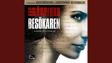 Chapter 10.8 - Besökaren