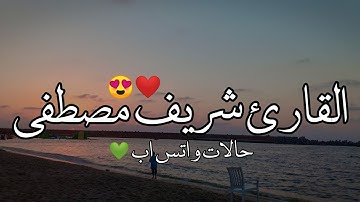 تلاوة تريح القلوب للقارئ شريف مصطفي / راحة لا توصف ❤️ حالات واتس اب دينيه
