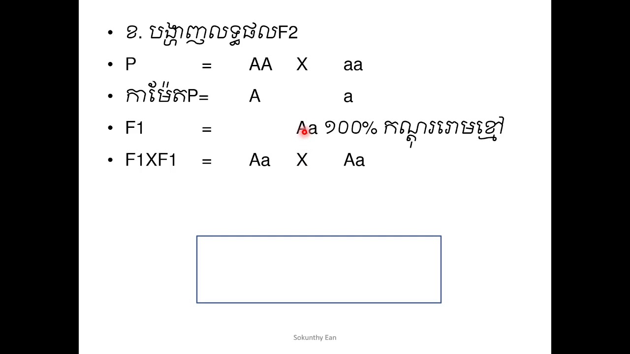 ច្បាប់ទី២ម៉ង់ដែល