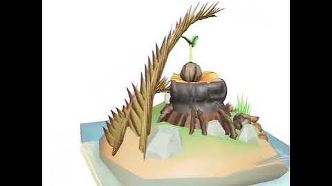 Sneak peek of our fully 3D NFT collection | Coconut NFT Club