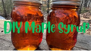 Maple Syrup. From Tree to Table.