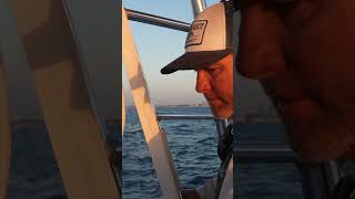 CATCHING SAILFISH WITH CAPT CHIP SHEEHAN IN BOYNTON BEACH FLORIDA