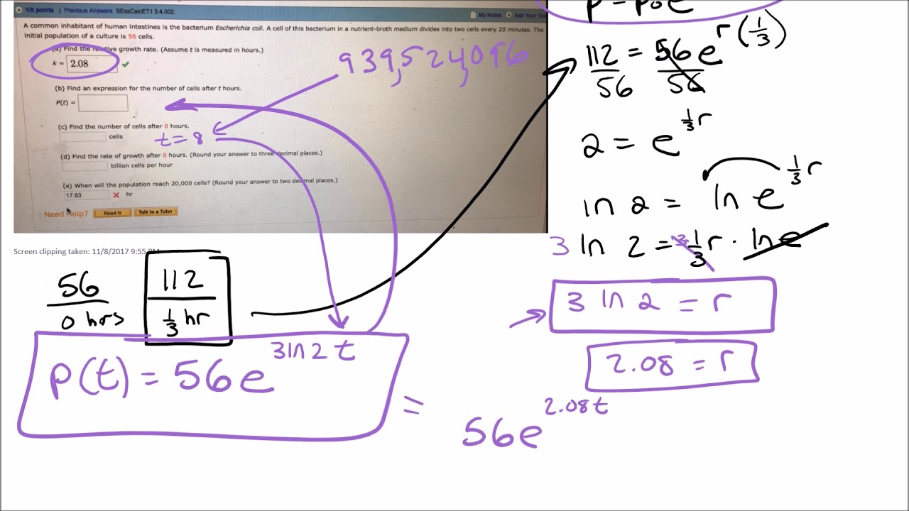 Relative Growth Rate Calculus