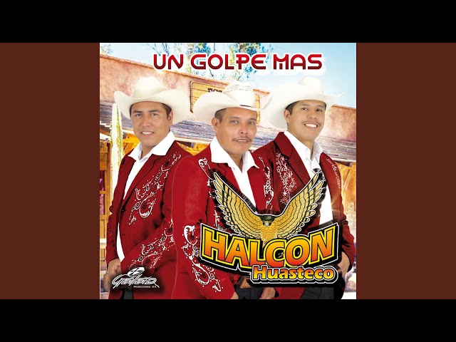 Trio Halcon Huasteco - La Presumida Vieja
