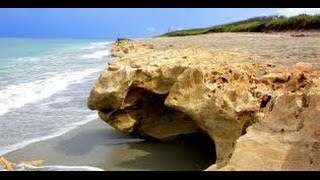 BEST Florida beach Blowing rocks Preserve - Лучший пляж Флориды №288 -  02.08.2010